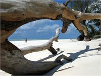 Kenia Diani Beach © MikeAtkelskyPhotography