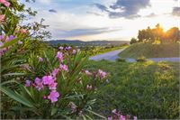  &copy; istock