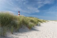  &copy; istock