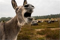  &copy; istock
