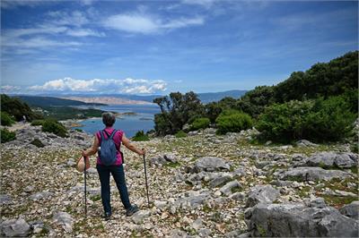 Herbst Wanderzauber im grünen Herzen Istriens | Kroatien 