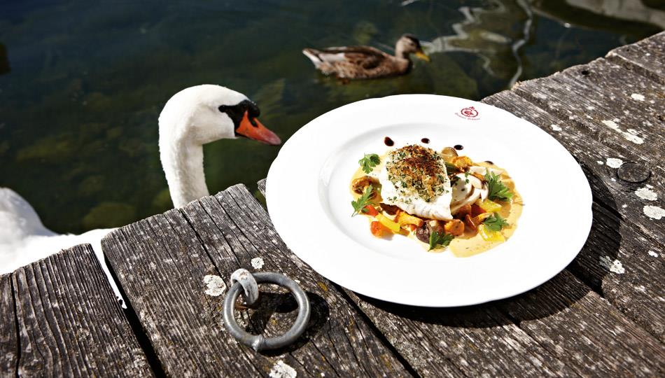 Traunsee Kulinarik | Österreich