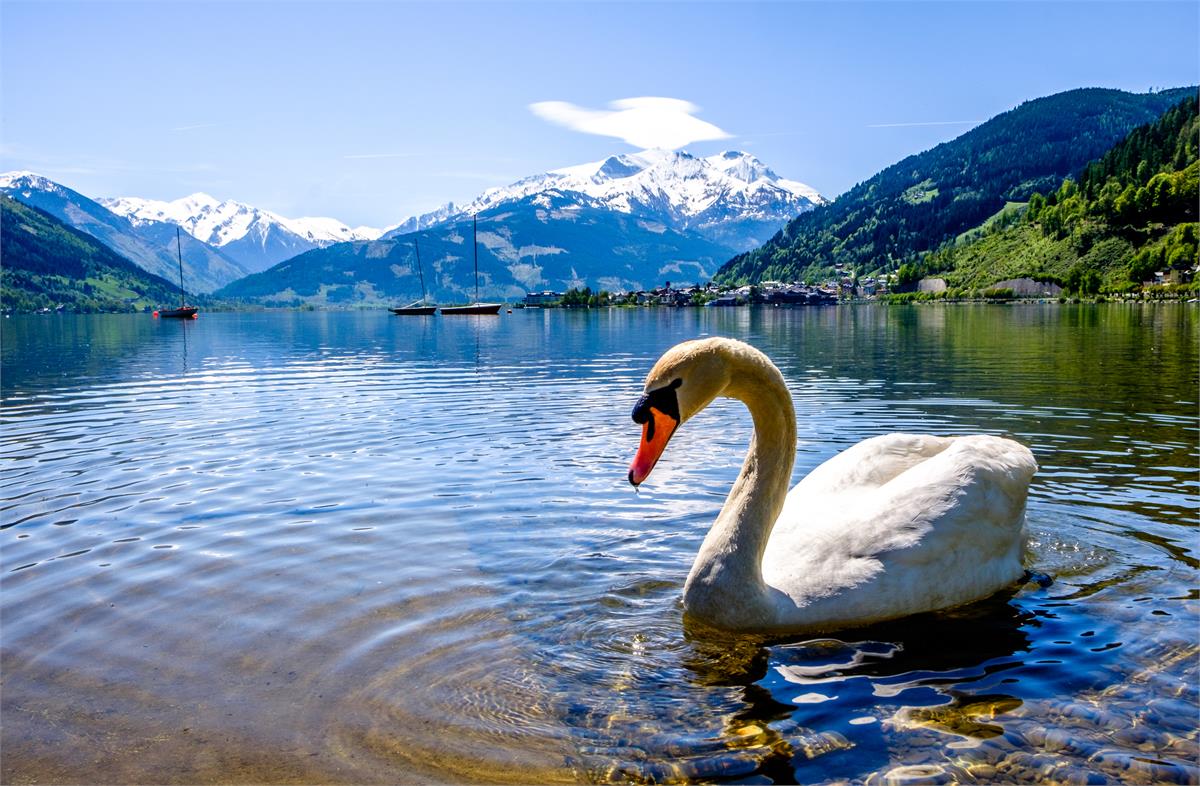 Bahnreise Zell am See  | Österreich