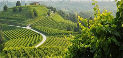 Prosecco Land 2023 | Italien