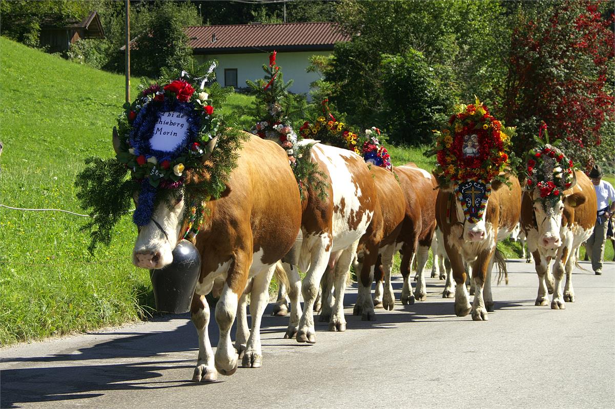 Almabtrieb | ÖSTERREICH