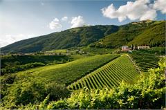 Sprudelnde Lebensfreude Kurztrip Christi Himmelfahrt  | Italien